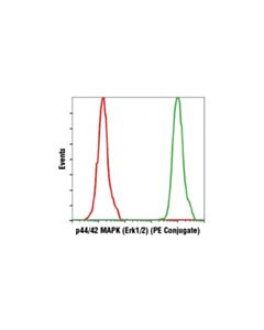 Cell Signaling P44/42 Mapk (Erk1/2) (137f5) Rabbit mAb (PE Conjugate)