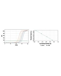 Cell Signaling Simplechip Universal qPCR Master Mix