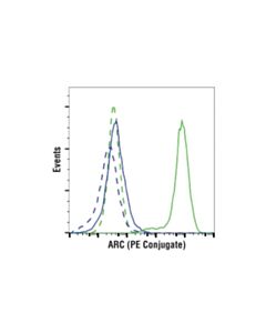 Cell Signaling Arc (D7q3g) Rabbit mAb (PE Conjugate)