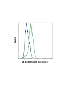 Cell Signaling Ve-Cadherin (D87f2) Xp Rabbit mAb (PE Conjugate)