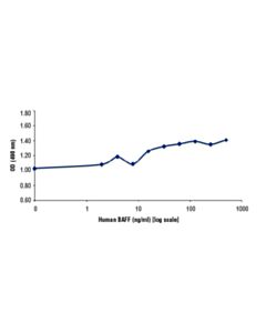 Cell Signaling Human Baff/Tnfsf13b (Hbaff)