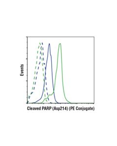 Cell Signaling Cleaved Parp (Asp214) (D64e10) Xp Rabbit mAb (PE Conjugate)