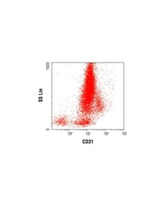 Cell Signaling CD31 (PECAM-1) (158-2B3) Mouse mAb (BSA and Azide Free) 100 ug