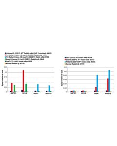 Cell Signaling Simplechip Plus Enzymatic Chromatin Ip Kit (Agarose Beads)