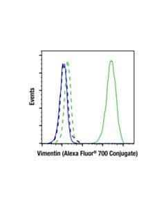 Cell Signaling Vimentin (D21H3) XP ® Rabbit mAb (Alexa Fluor ® 700 Conjugate)