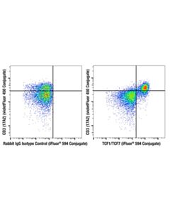 Cell Signaling TCF1/TCF7 (C63D9) Rabbit mAb (iFluor 594 Conjugate)