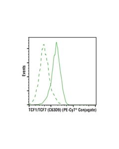 Cell Signaling Tcf1/Tcf7 (C63d9) Rabbit mAb (PE-Cy7 Conjugate)