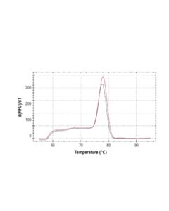 Cell Signaling Simplechip® Human Trio Exon 57 Primers