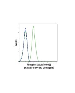 Cell Signaling Phospho-Stat2 (Tyr690) (D3p2p) Rabbit mAb (Alexa Fluor 647 Conjugate)