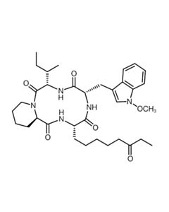 Cell Signaling Apicidin