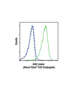 Cell Signaling G4s Linker (E7o2v) Rabbit mAb (Alexa Fluor ® 532 Conjugate)