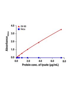 Cell Signaling ACE2 Matched Antibody Pair