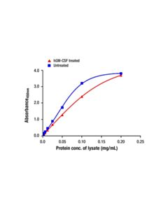 Cell Signaling Total Stat5 Matched Antibody Pair