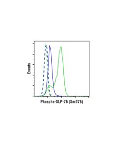 Cell Signaling Human Cd28 Activating (Cd28.2) Mouse mAb (Low Endotoxin, Azide-Free)