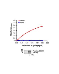 Cell Signaling PathScan ® RP Phospho-p90RSK (Thr359) Sandwich ELISA Kit