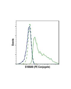 Cell Signaling S100a9 (D5o6o) Rabbit mAb (PE Conjugate)