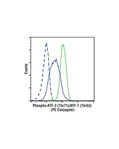 Cell Signaling Phospho-Atf-2 (Thr71)/Atf-7 (Thr53) (A8j7p) Rabbit mAb (PE Conjugate)