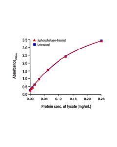 Cell Signaling Total Src Matched Antibody Pair