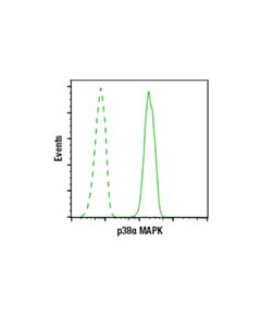 Cell Signaling P38alpha Mapk (L53f8) Mouse mAb