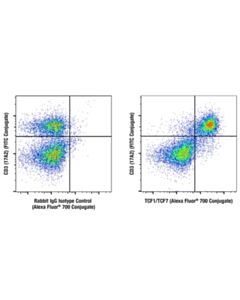 Cell Signaling TCF1/TCF7 (E6O1K) Rabbit mAb (Alexa Fluor 700 Conjugate)