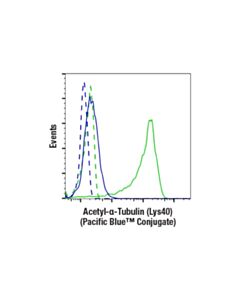 Cell Signaling Acetyl-Alpha-Tubulin (Lys40) (D20g3) Rabbit mAb (Pacific Blue™ Conjugate)﻿