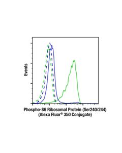 Cell Signaling Phospho-S6 Ribosomal Protein (Ser240/244) (D68f8) Xp ® Rabbit mAb (Alexa Fluor ® 350 Conjugate)