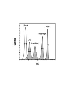 Cell Signaling CAR (G4S Linker) Antigen Density Quantitation Kit (PE)