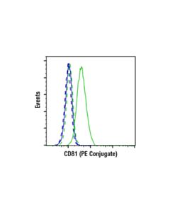 Cell Signaling Cd81 (D5o2q) Rabbit mAb (Mouse Specific) (PE Conjugate)