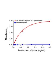 Cell Signaling AsCpf1/Cas12a (Strain BV3L6 ) Matched Antibody Pair