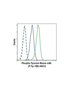 Cell Signaling Phospho-Tyrosine Mouse mAb (P-Tyr-100) (Alexa Fluor 488 Conjugate)