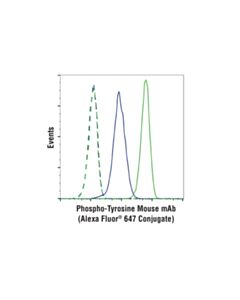 Cell Signaling Phospho-Tyrosine Mouse mAb (P-Tyr-100) (Alexa Fluor 647 Conjugate)