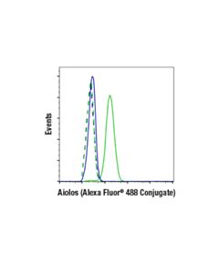 Cell Signaling Aiolos (D1c1e) Rabbit mAb (Alexa Fluor 488 Conjugate)