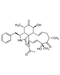 Cell Signaling Cytochalasin D