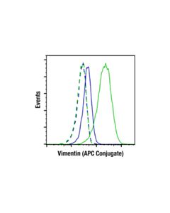 Cell Signaling Vimentin (D21H3) XP ® Rabbit mAb (APC Conjugate)
