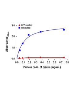 Cell Signaling Phospho-HER2/ErbB2 (Tyr1221/1222) Matched Antibody Pair