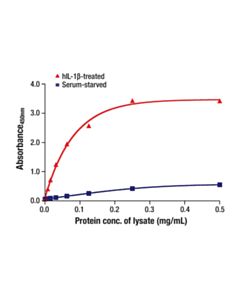 Cell Signaling Total Cox2 Matched Antibody Pair