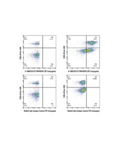 Cell Signaling 4-1bb/Cd137/Tnfrsf9 (D2z4y) Rabbit mAb (PE Conjugate)