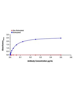 Cell Signaling Cleaved Caspase-3 (Asp175) (5A1E) Rabbit Monoclonal Antibody (Biotinylated)
