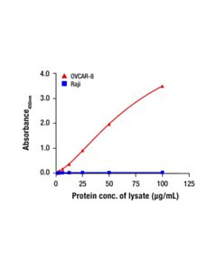 Cell Signaling IL-18 Matched Antibody Pair