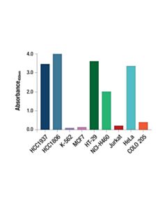 Cell Signaling EGF Receptor (EGFR1) Mouse mAb (BSA and Azide Free)