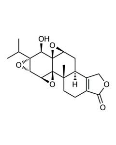 Cell Signaling Triptolide