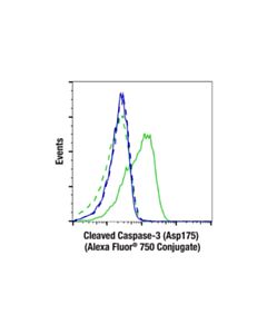 Cell Signaling Cleaved Caspase-3 (Asp175) (D3e9) Rabbit mAb (Alexa Fluor ® 750 Conjugate)