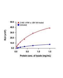 Cell Signaling Phospho-MLKL (Ser358) Matched Antibody Pair