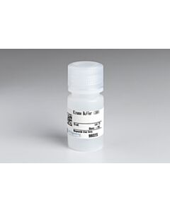Cell Signaling Kinase Buffer (10x)