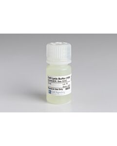 Cell Signaling Cell Lysis Buffer (10x)