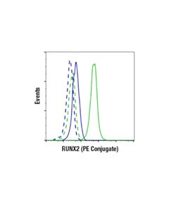 Cell Signaling Runx2 (D1l7f) Rabbit mAb (PE Conjugate)