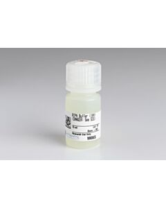 Cell Signaling Ripa Buffer (10x)