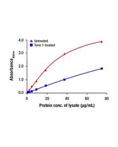 Cell Signaling Phospho-TFEB (Ser211) Matched Antibody Pair; 1 Kit