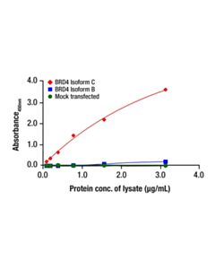 Cell Signaling BRD4 Isoform C Matched Antibody Pair