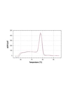 Cell Signaling Simplechip Human Znf19 Intron 3 Primers